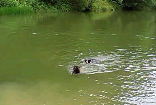 VIDEO0033_0000019388
