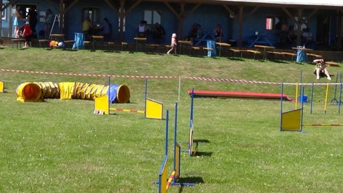 DSC00356