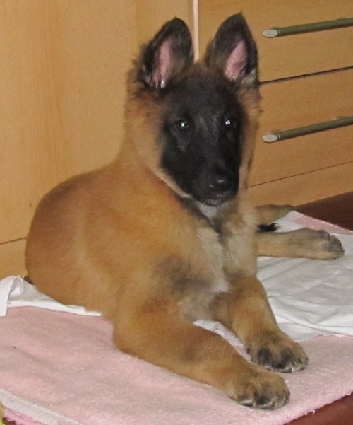 foto 00