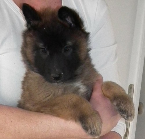 foto 01