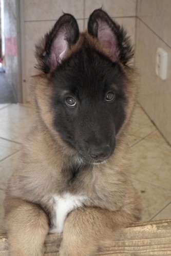 foto 08