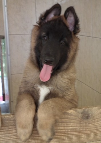 foto 06
