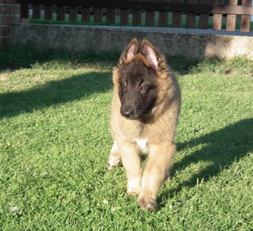 foto 04
