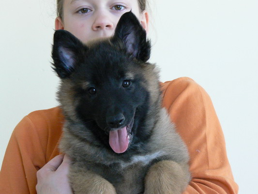 foto 01