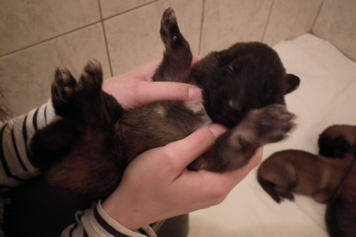 foto 09
