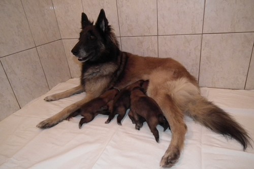 foto 12