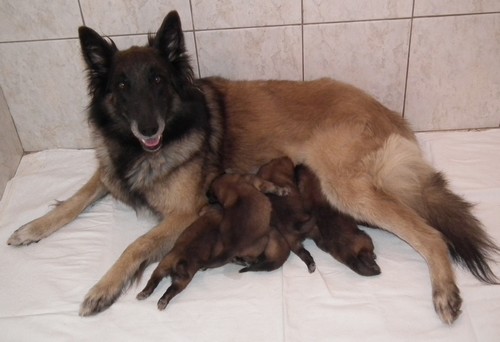 foto 13